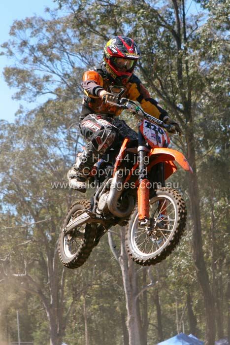 445x677 pixels (79K)